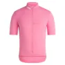 Pink / cream