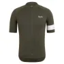 Dgn dark green