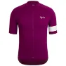 Plc mauve