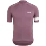 Vpl violet
