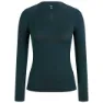 Forest green / forest green 2