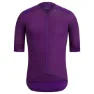 Aci purple