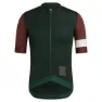 Sbb dark green brown