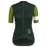 Scl dark green/green