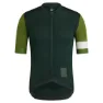 Scl dark green