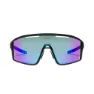 Dny dark navy/ purple green lens