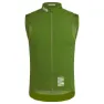 Lsc green