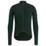 Sca green/brown
