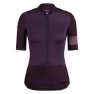 Nbp purple