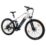 Reebok Fit 29´´ Elektrisk Terrengsykkel, Elsykkel
