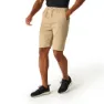 Regatta Aldan Shorts