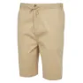 Regatta Aldan Shorts