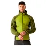 Green / possibly different shades