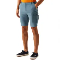 Regatta Bendrick Shorts Regatta Bendrick Shorts