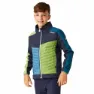Regatta Brynden Softshelljakke