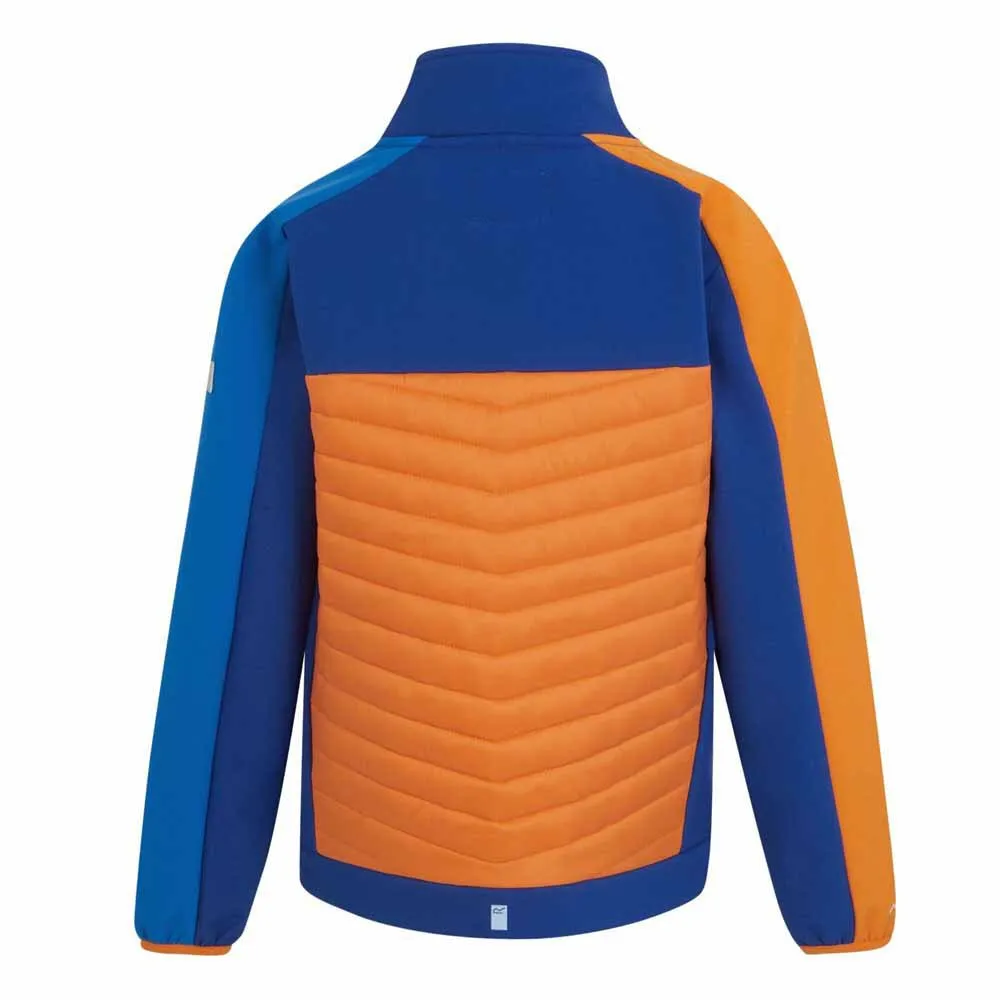 Regatta Brynden Softshelljakke