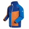 Regatta Brynden Softshelljakke