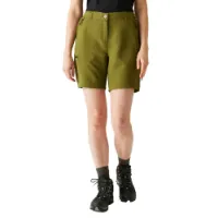 Regatta Chaska Iii Shorts