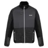 Regatta Coladane Iv Fleece, Black / dark grey