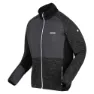 Regatta Coladane Iv Fleece, Black / dark grey