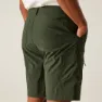 Regatta Dalry Shorts