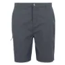 Regatta Dalry Shorts