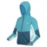 Regatta Dissolver Viii Fleece