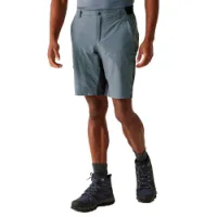 Regatta Eldes Shorts