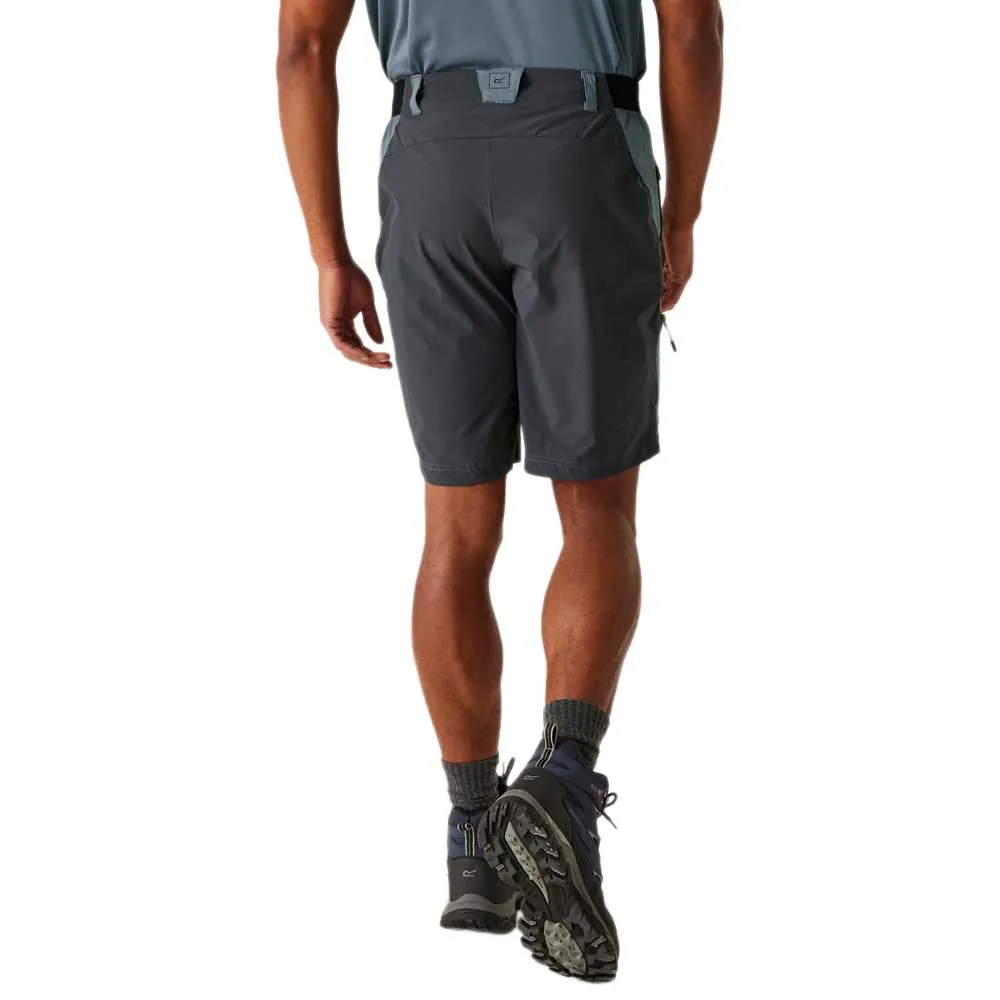 Regatta Eldes Shorts Regatta Eldes Shorts