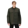 Dark khaki