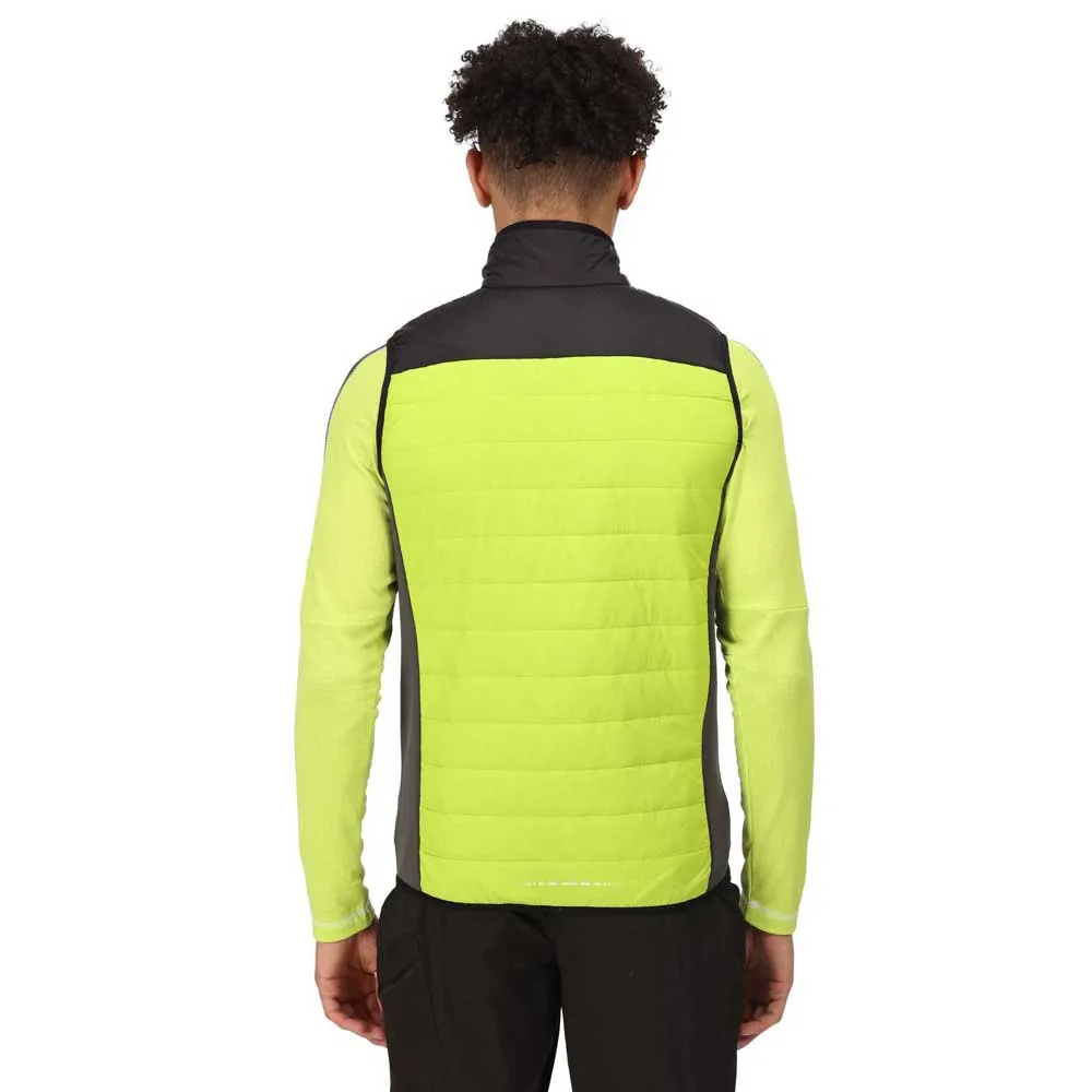 Regatta Halton Vi Vest