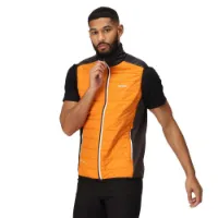 Regatta Halton Vii Vest