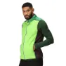 Regatta Halton Vii Vest