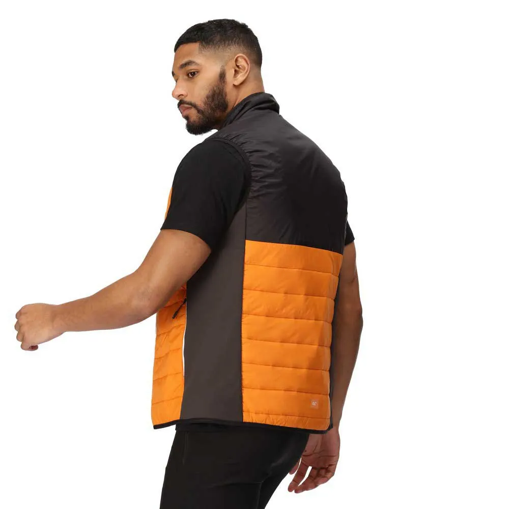 Regatta Halton Vii Vest