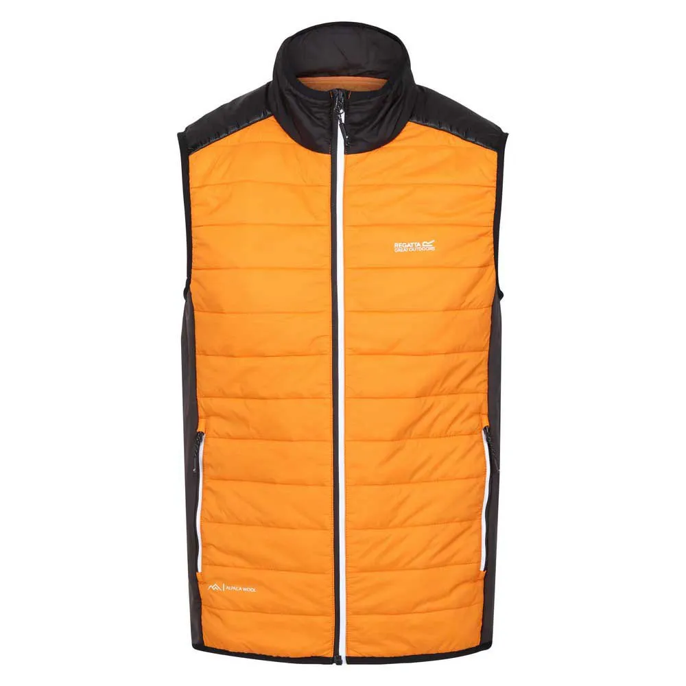 Regatta Halton Vii Vest