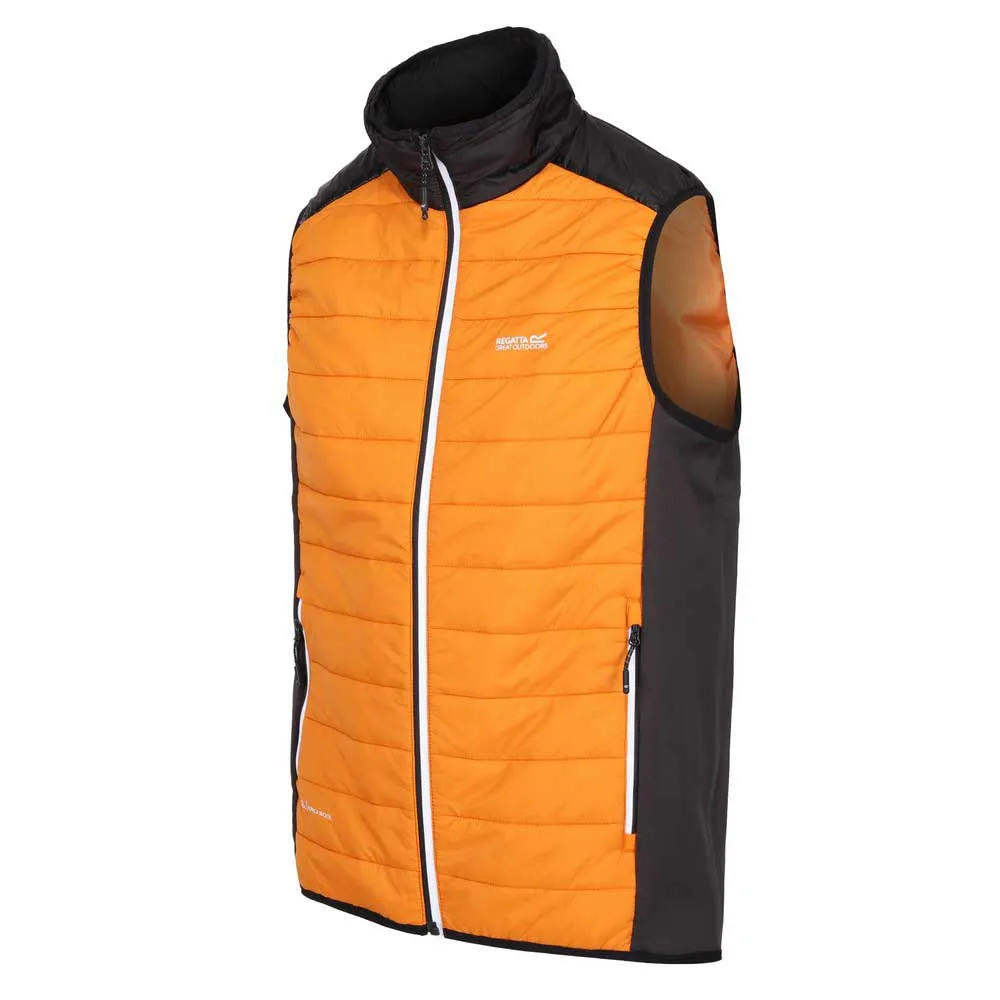 Regatta Halton Vii Vest