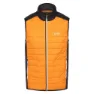 Regatta Halton Vii Vest