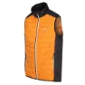 Regatta Halton Vii Vest