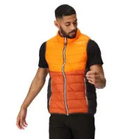 Regatta Harrock Ii Vest