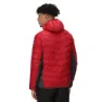 Regatta Harrock Jakke