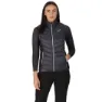 Regatta Harrock Vest, Seal grey / bl