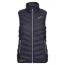 Regatta Harrock Vest, Seal grey / bl