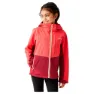 Regatta Haydenbury Ii Softshelljakke