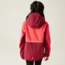 Regatta Haydenbury Ii Softshelljakke