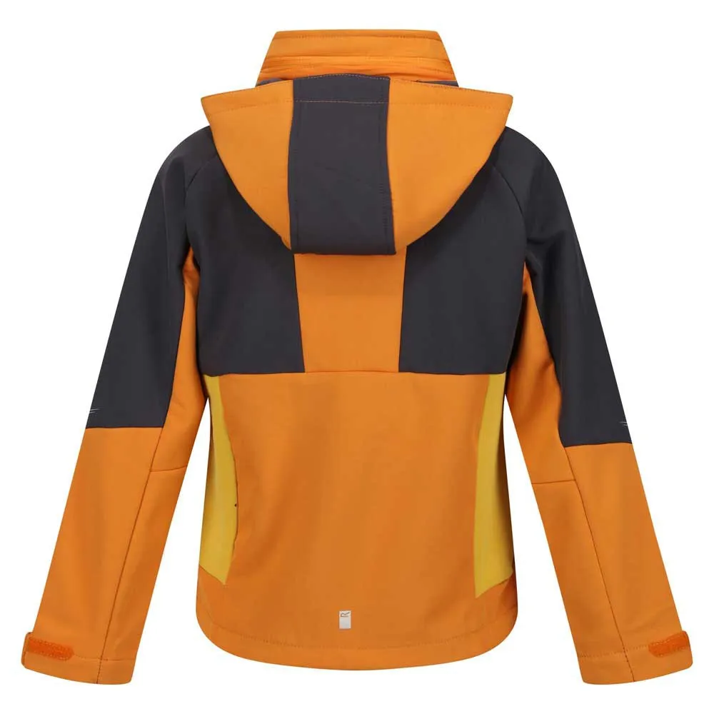 Regatta Haydenbury Softshelljakke