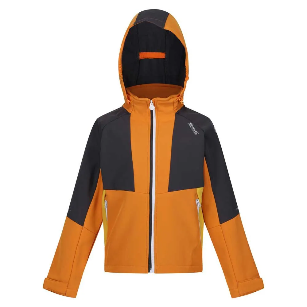 Regatta Haydenbury Softshelljakke