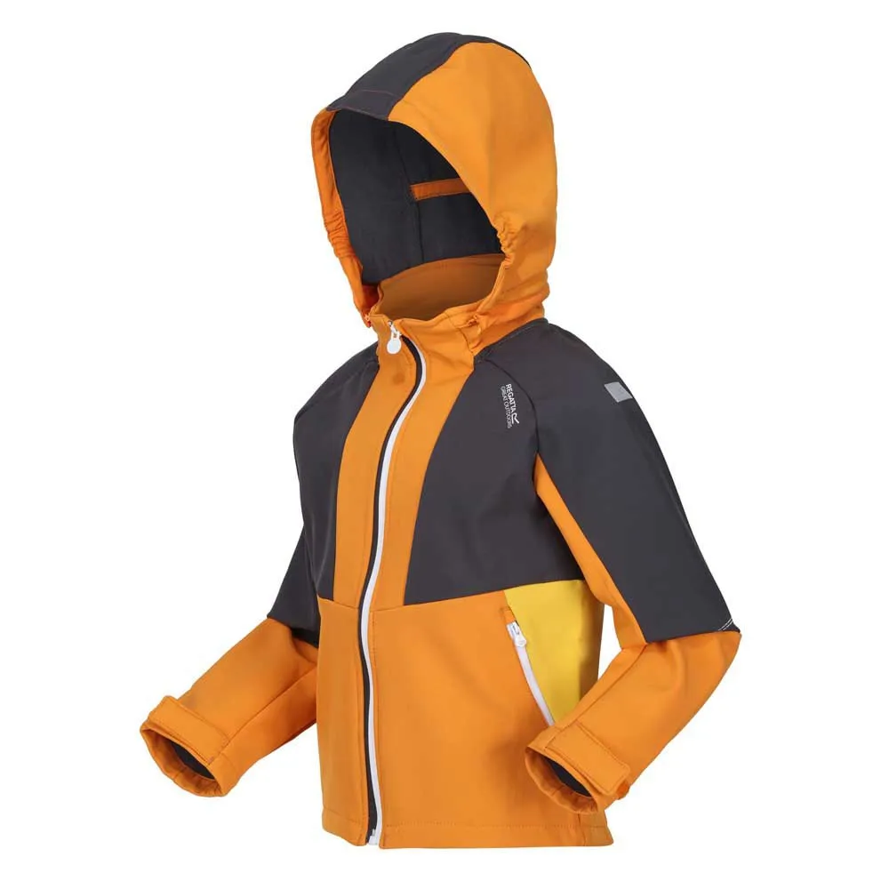 Regatta Haydenbury Softshelljakke