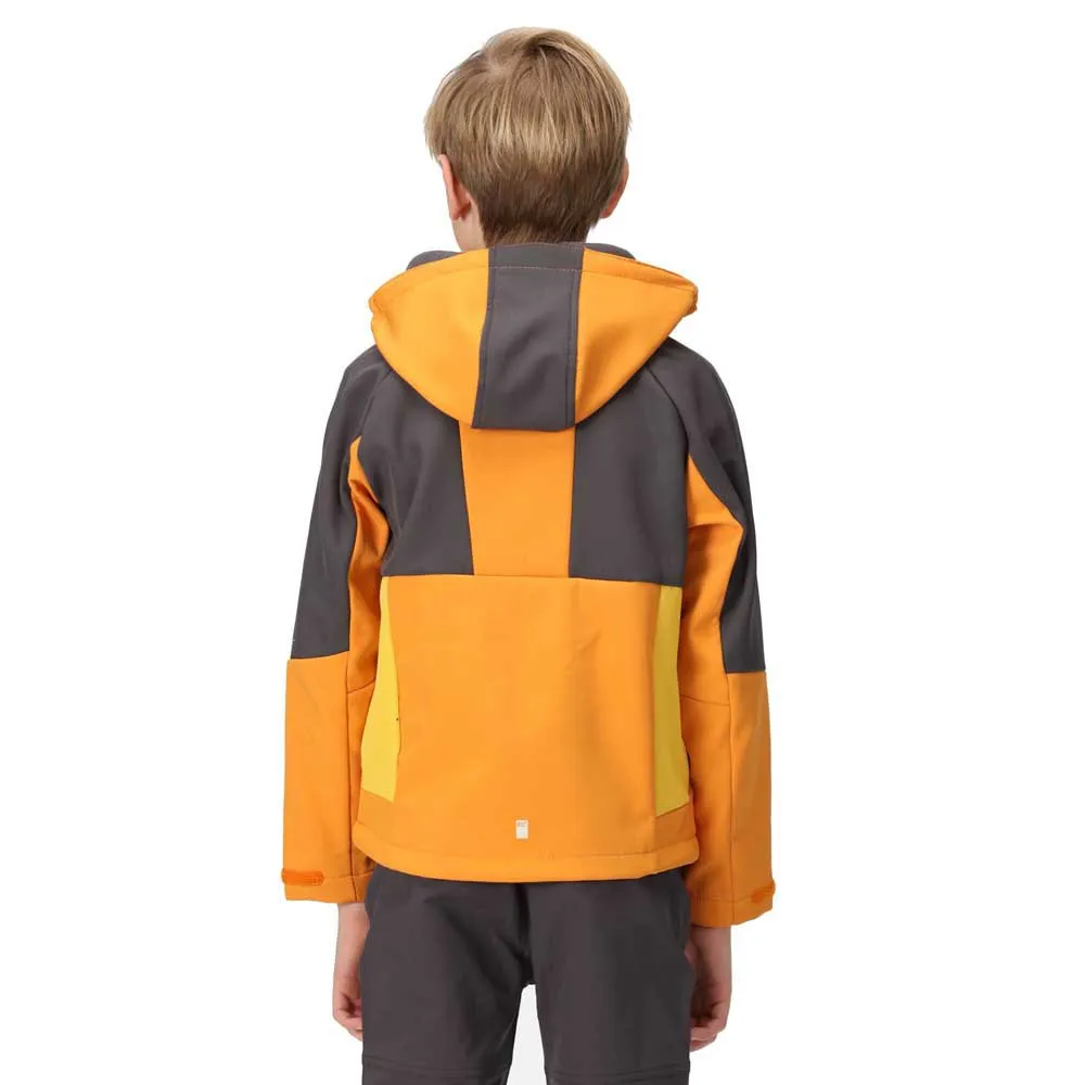 Regatta Haydenbury Softshelljakke