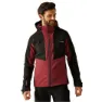 Dark maroon / black