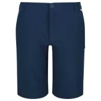Regatta Highton Long Shorts
